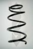 SPIDAN 85647 Coil Spring